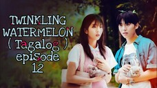 TWINKLING WATERMELON EPISODE 12 TAGALOG