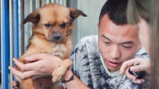 The puppy was treated as a breeding machine and was abandoned after contracting a sexually transmitt