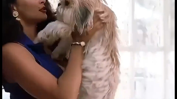 Chó cũng biết lựa chọn thứ tốt hơn… Hahahaahaha