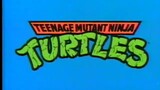Teenage Mutant Ninja Turtles (1987) - S03E33 - Case of the Hot Kimono