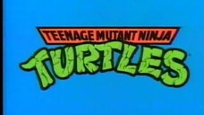 Teenage Mutant Ninja Turtles (1987) - S03E03 - Attack of the 50-Foot Irma