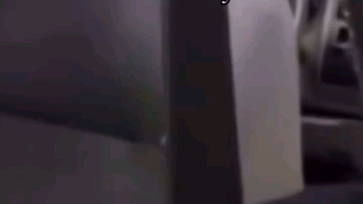 lizard dancing