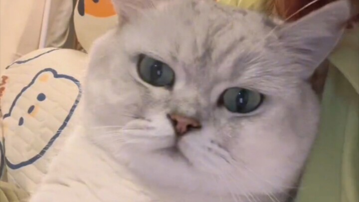 Hot girl triệu view lại bị bắt quả tang lén ngửi giày hàng xóm!