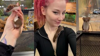 这可爱的小东西，还挺会找地方躲的