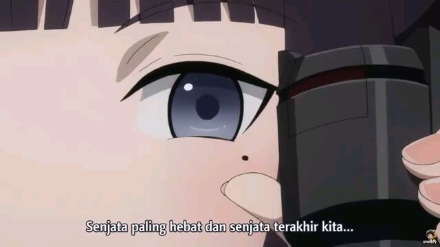 Black Bullet Episode 13 (END) sub indo