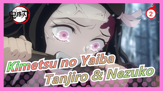 [Kimetsu no Yaiba] kompilasi Sedih Tanjiro & Nezuko_2