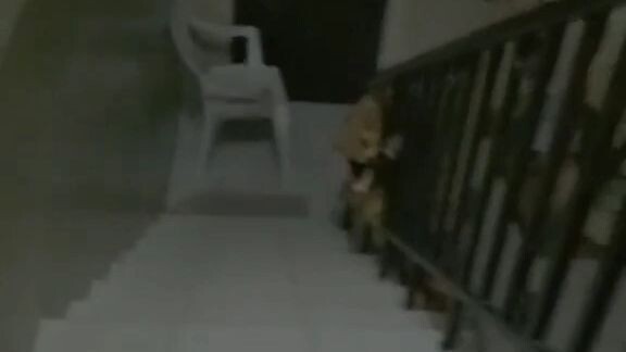 this is mine on my tiktok acc