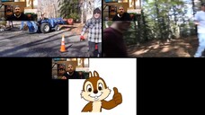 CLOSE CALL when a Massive 40 Foot Tree wreaks havoc Joe Bump's Reaction