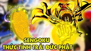 Sengoku Thức Tỉnh Trái Ác Quỷ Đức Phật, Luffy Cắn Ramble Ball Sẽ Ra sao