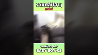 มันกัดไข่กู #short #easyboy #คลิปฮา #เบสไวน์