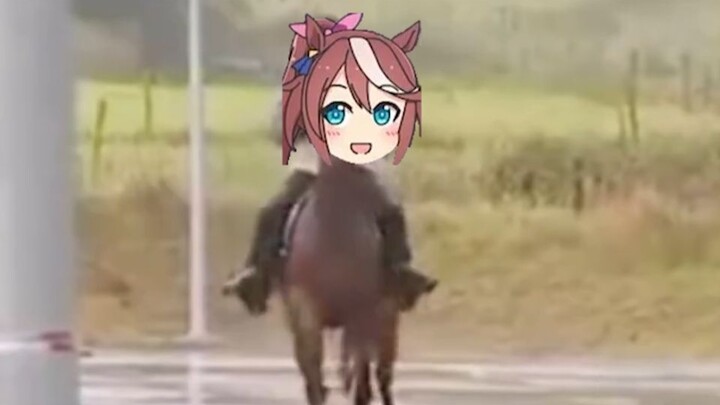 Four legs each walking their own way, the Emperor of the East Sea