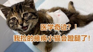 معجزة طبية؟! القط الصغير المشلول الذي وجدته أصبح قادرًا على ركل ساقيه مرة أخرى!!!