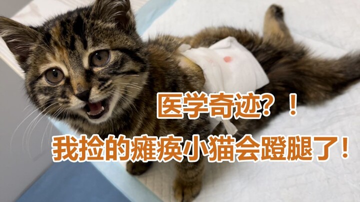 Keajaiban kedokteran?! Kucing lumpuh yang saya temukan sudah bisa menggerakkan kakinya!!!