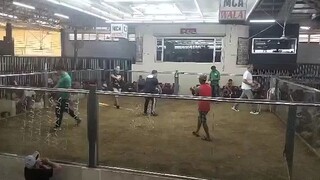 second win matadero