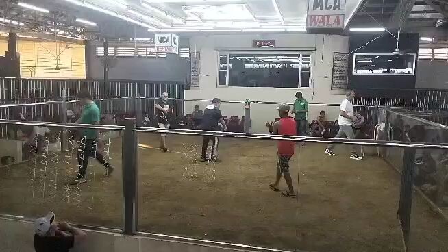 second win matadero