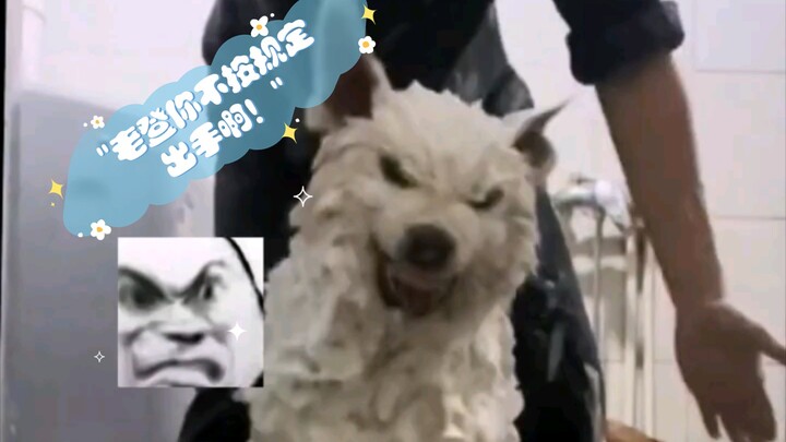 ไอ้เฒ่า! แกไม่ได้ทำตามกฎนี่!