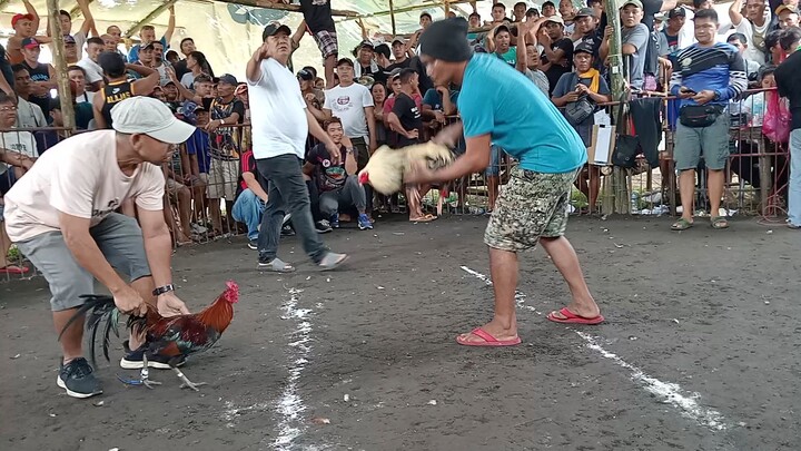 Hatch vs grey patibayan ng tama.