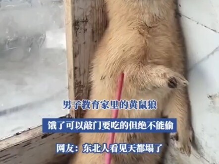 Pria aneh ini menyeret Huang Daxian untuk menggurui, orang-orang dari Tiongkok Timur Laut merasa lan