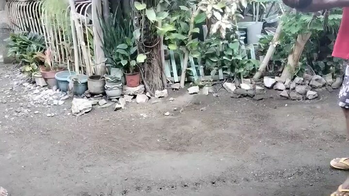 Preparation Gb/gilmore vs Alimbyugin