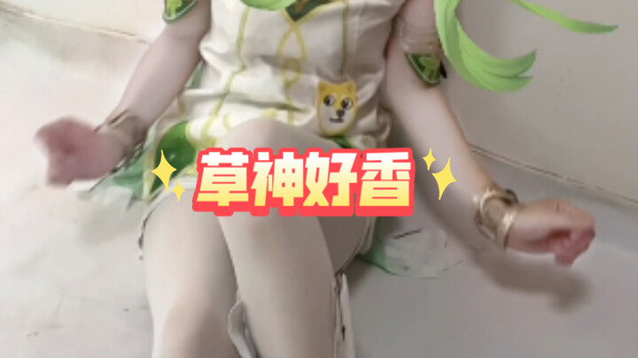 二次元 草神