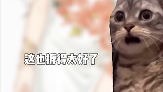 【ميم القط】طريقة النمذجة القديمة هي فرك الفاوانيا بيديك