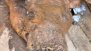 四川大姐做猪膘肉，整猪去骨撒盐缝起来，常温能放15年，可生吃