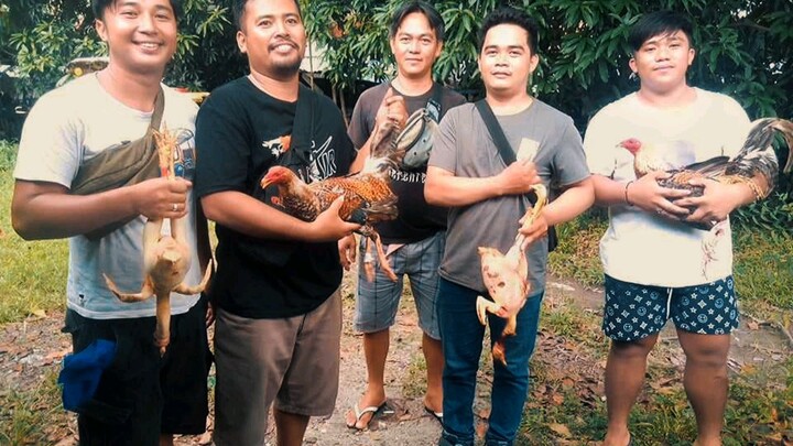 6wins 2loses in 2days samahang walang katulad BordsGF #BordsGF #BordsBanga #AlagangSalto