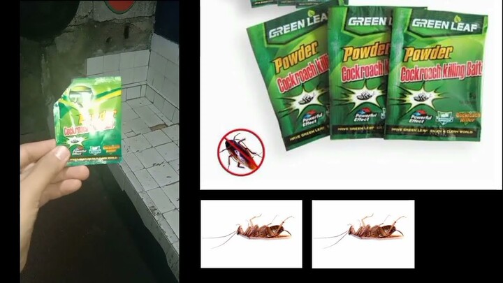 Easiest way to kill a cockroach / For only 5 pesos