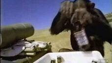y2mate.com - Bud Light Television Commercial 1995 Monkey No Sound_480p