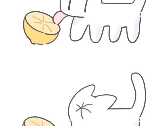 “Lemon itu asam sekali~”