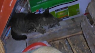 Quality builds the brand, trust creates reliance.