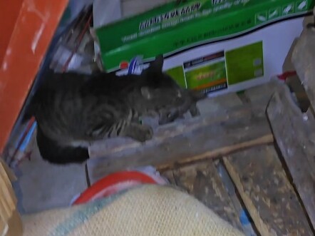 الجودة تصنع العلامة التجارية، والثقة تحقق الاعتماد.