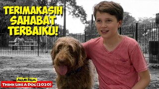 Pelajaran Luar Biasa Dari Seekor Anjing Yang Menjadi Sahabatnya | Alur Cerita Film THINK LIKE A DOG