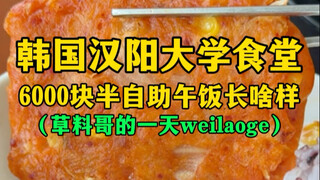 Seperti apa makan siang semi-prasmanan seharga 6.000 won di kafetaria Universitas Hanyang? (Weilaoge
