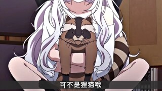 谁能拒绝一只可爱的白毛萝莉呢