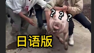 《奇怪的魅魔猪猪增加了》