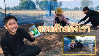 เสร็จแล้วจ้าสวนผักของเรา สวยงามมากแค่ไหนต้องชมจ้า🥰#น้องอิ๋วกับพี่ภูมิ#บ่าวเคน#สาวติ๊ก ❤️