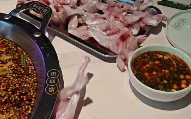 Frog lovers, proceed with caution.