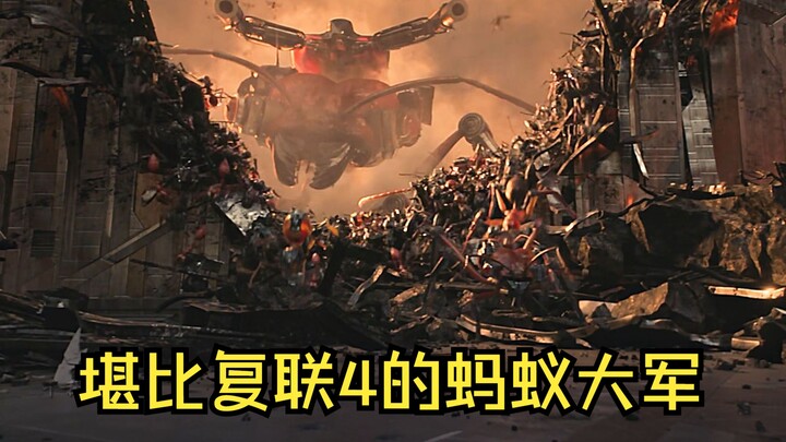 I heard that some people look down on ants?