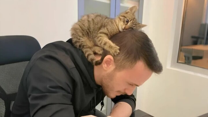 الآن فهمتُ لماذا تفضل القطط التقرّب من الرجال أكثر!!