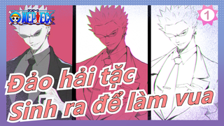 Đảo hải tặc|[Donquixote Doflamingo]Sinh ra để làm vua_1