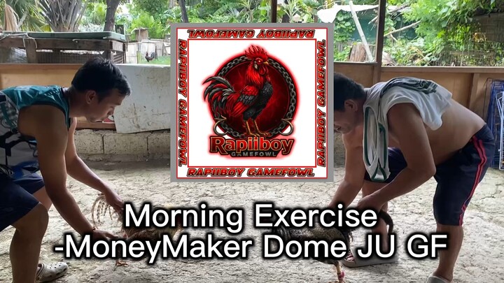 MoneyMaker Dome