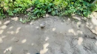 Bandarban , Bangladesh 🇧🇩⛰️🏞️