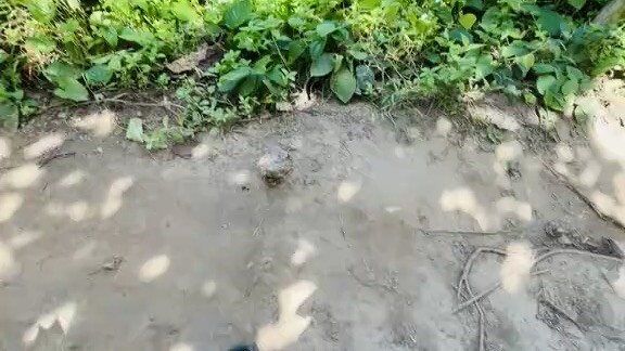 Bandarban , Bangladesh 🇧🇩⛰️🏞️