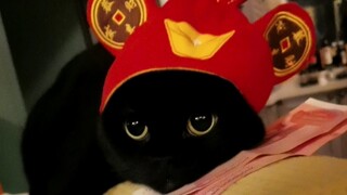 千岁岁的充电提示音来啦！喜欢的拿走不谢！点个赞就好！嘻嘻嘻……