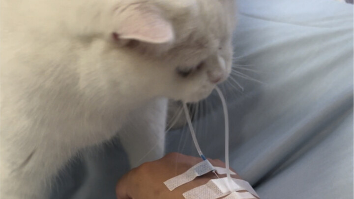 Tenang saja, aku baik-baik saja~ Akhir-akhir ini aku selalu minum alkohol atau disuntik, jadi pola t