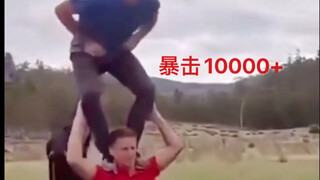 野生人类图鉴