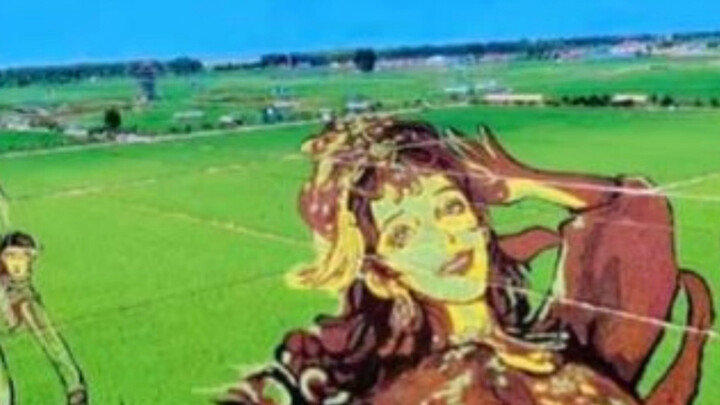 Tarian Xinjiang Dilraba bersemi di tengah sawah