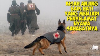 Kisah Anjing Baik Hati Yang Menyelamatkan Nyawa Sahabat Baiknya | Alur Cerita Film