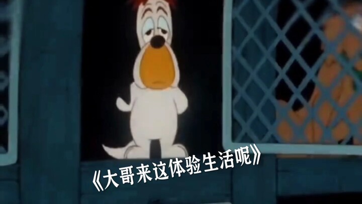 เจอเทพคอนเซปต์ในแมวและหนูเลย!